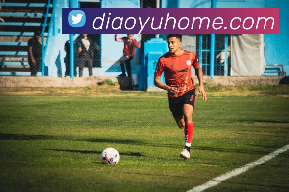 世界杯开户平台平台生态图